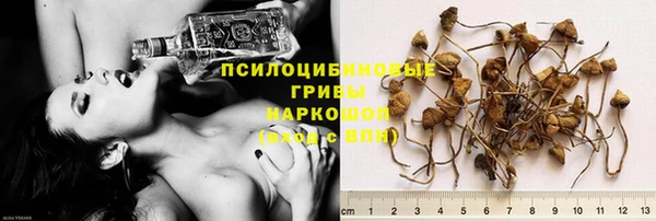 трава Осташков
