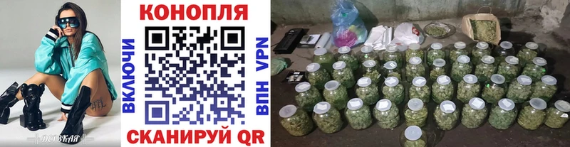 Купить где  Уварово  Бошки Шишки гибрид 